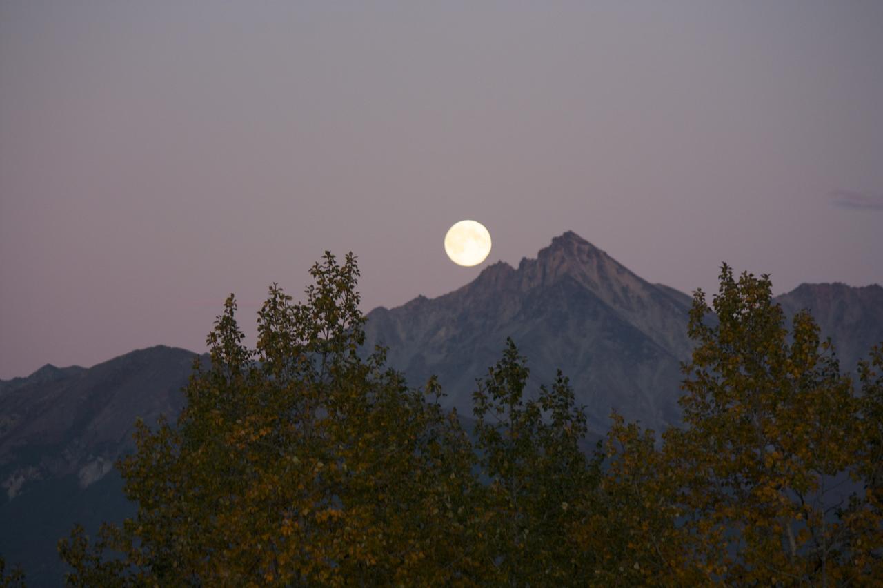 Fishhook Sunrise B&B Palmer Exterior foto